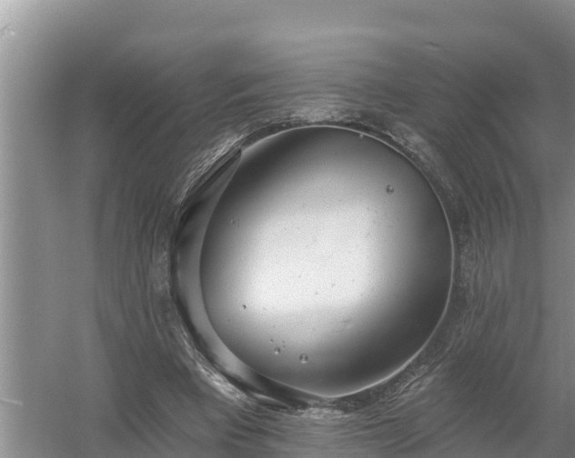 X0000058120393200509301932