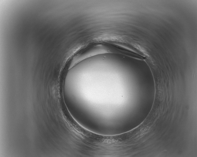 X0000058120399200509301932