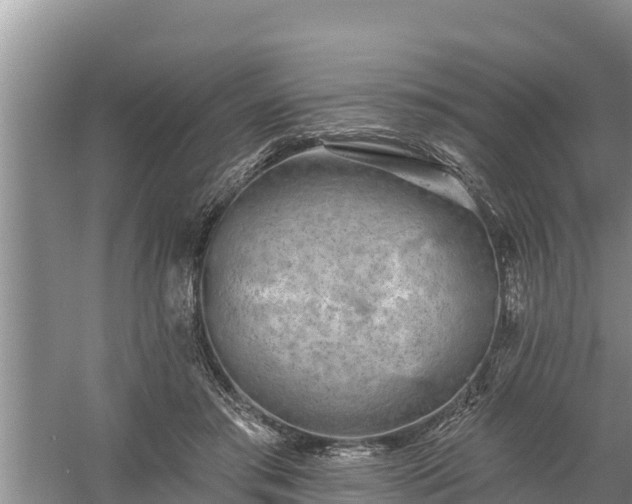 X0000058120405200509301932