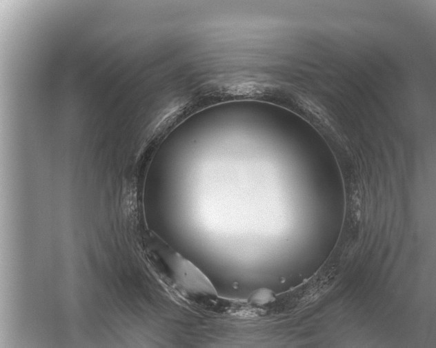 X0000058120407200509301932