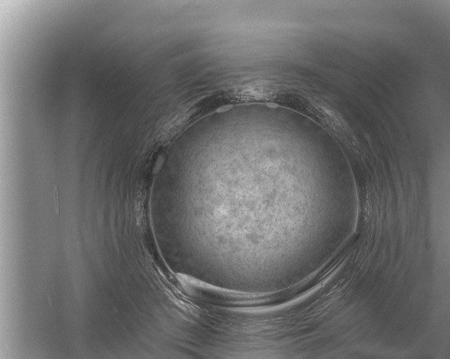 X0000058120409200509301932