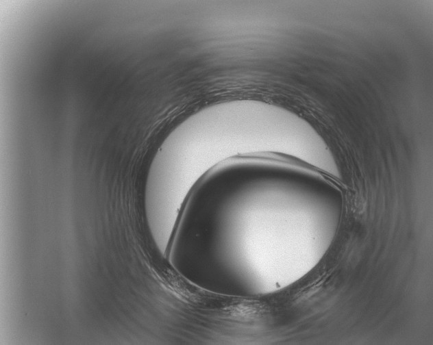 X0000058120412200509301932