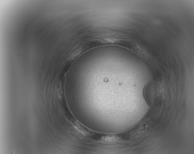 X0000058120414200509301932