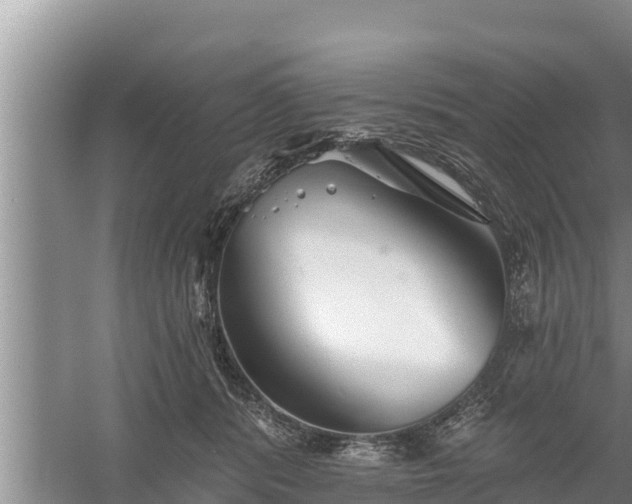 X0000058120416200509301932