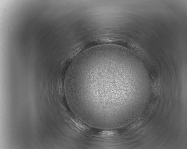 X0000058120418200509301932