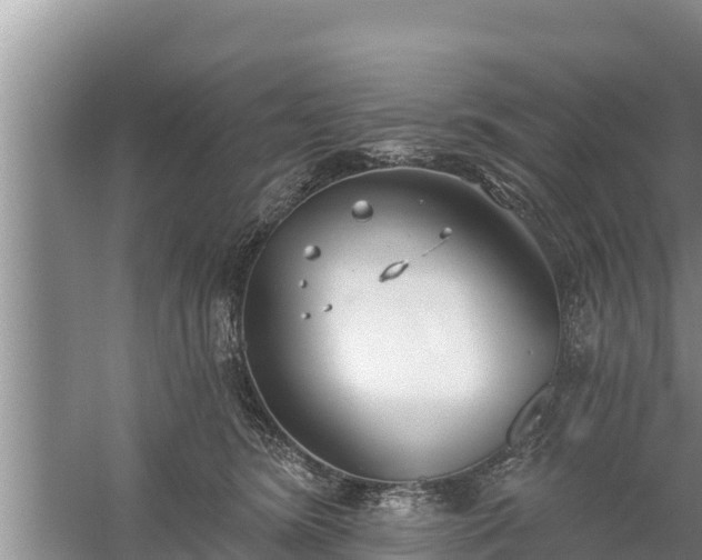 X0000058120420200509301932