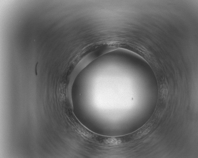 X0000058120421200509301932