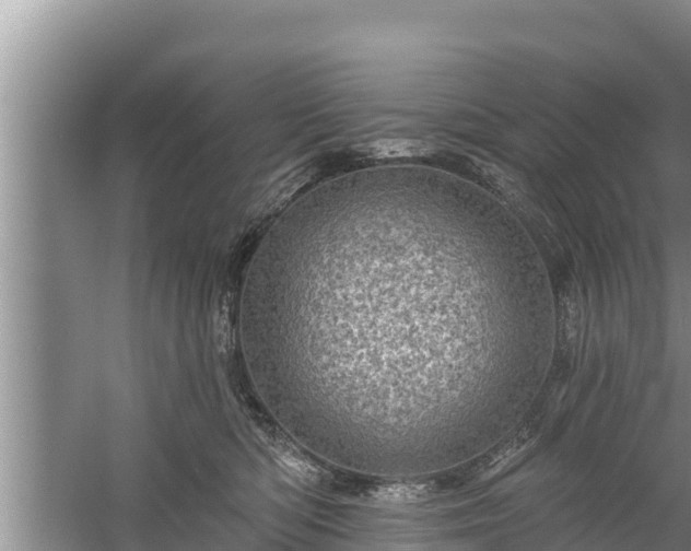 X0000058120422200509301932