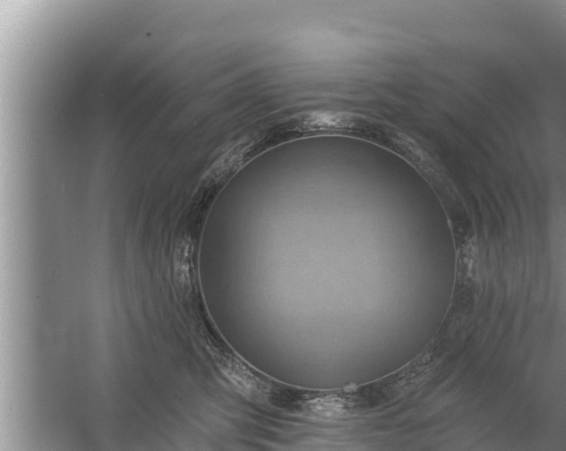 X0000058120423200509301932