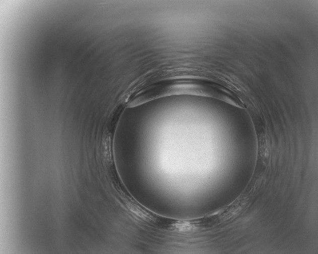 X0000058120425200509301932