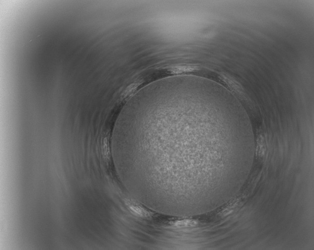 X0000058120426200509301931