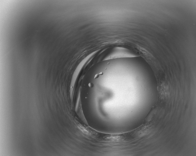 X0000058120428200509301931