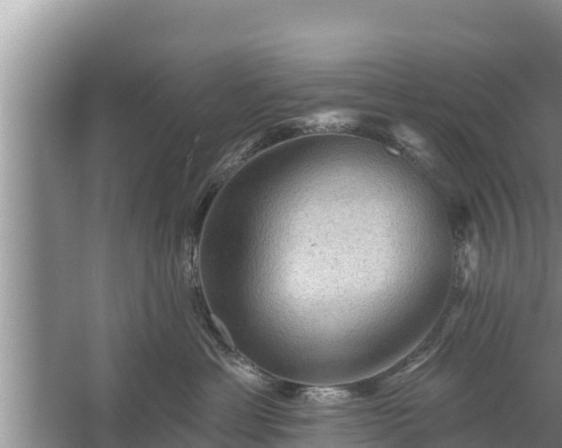 X0000058120429200509301931