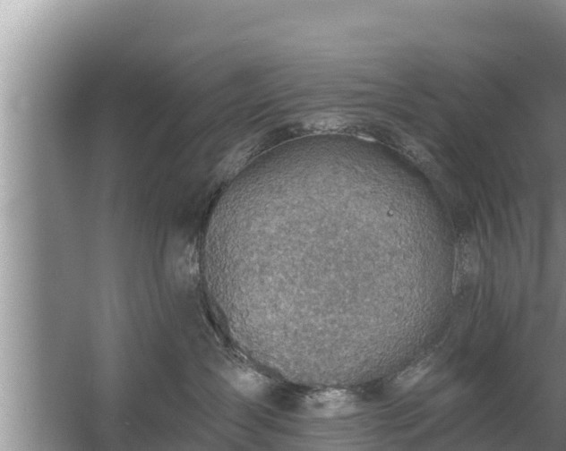 X0000058120431200509301931