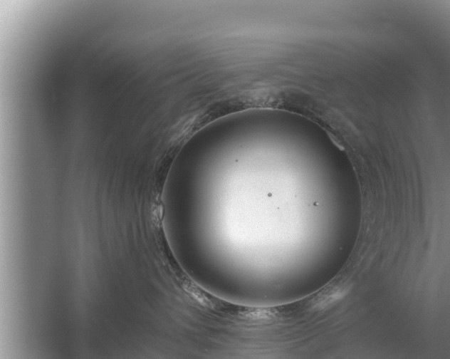 X0000058120432200509301931