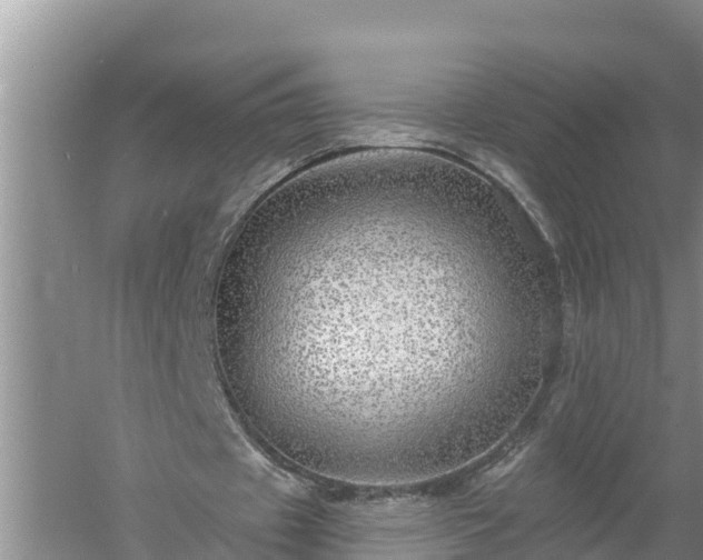 X0000058120433200509301931