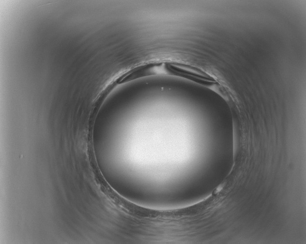 X0000058120434200509301931