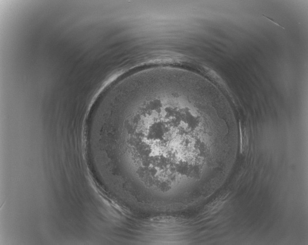 X0000058120435200509301931