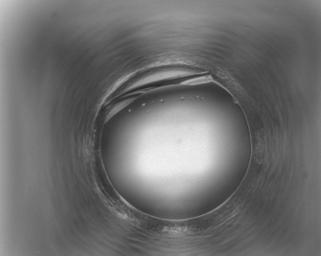 X0000058120440200509301931