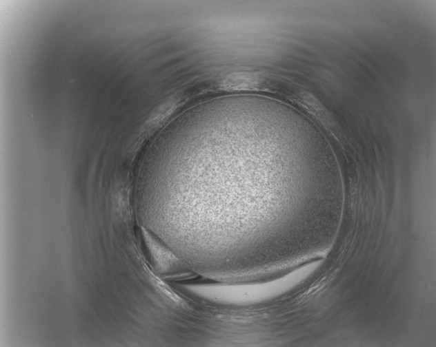 X0000058120441200509301931