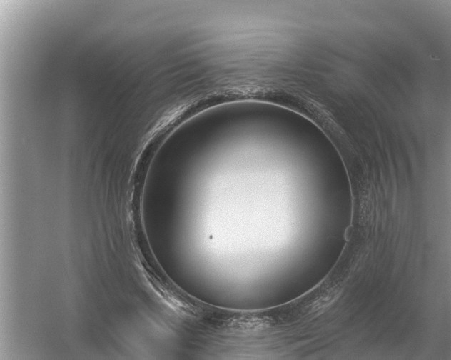 X0000058120443200509301931