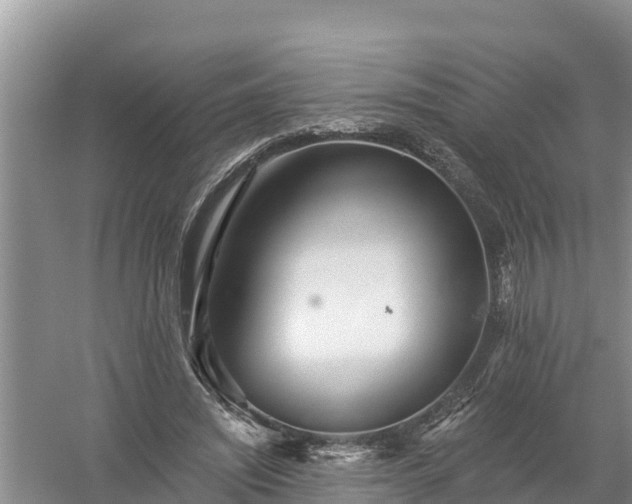 X0000058120444200509301931