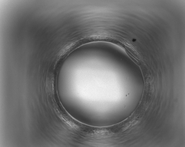 X0000058120446200509301931