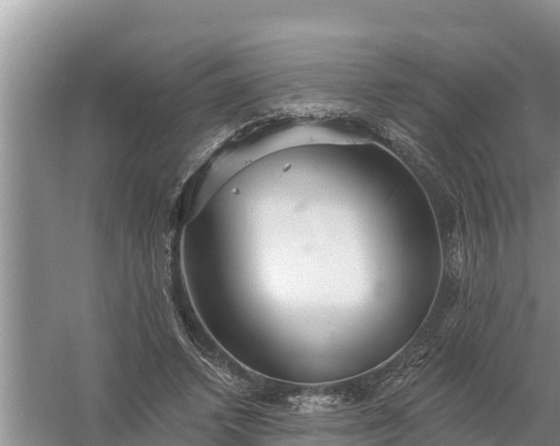 X0000058120448200509301931