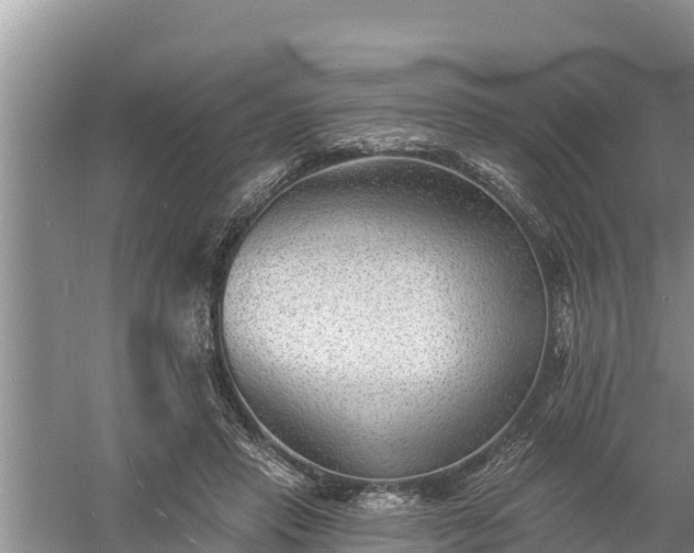 X0000058120453200509301931