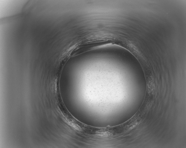 X0000058120454200509301931