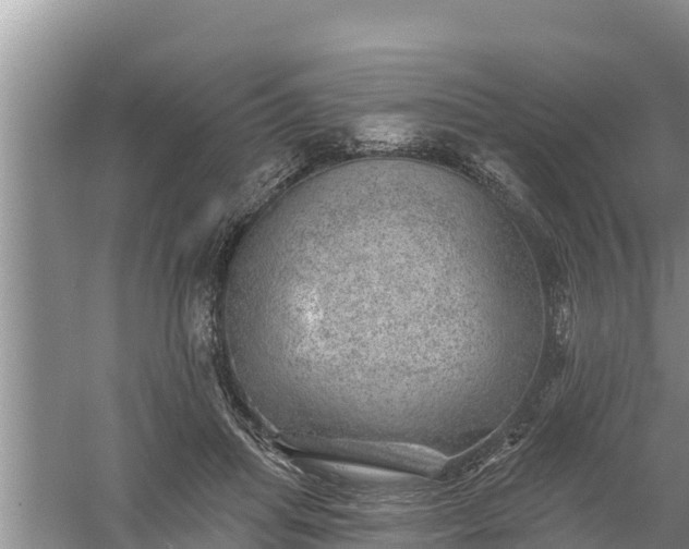 X0000058120455200509301931