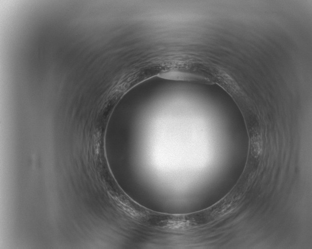 X0000058120458200509301931