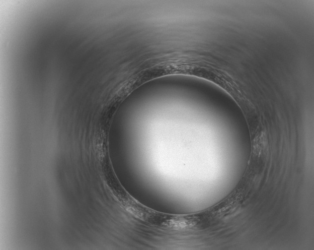 X0000058120464200509301931