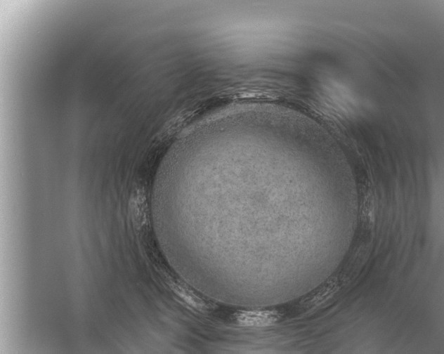 X0000058120465200509301931