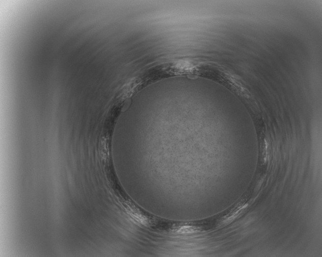 X0000058120467200509301931