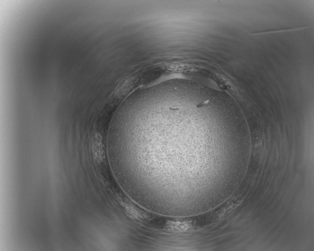 X0000058120469200509301931