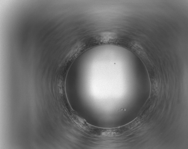 X0000058120470200509301931