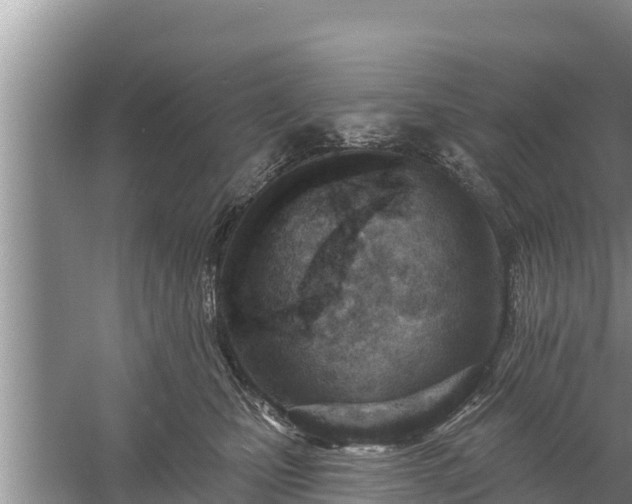 X0000058120471200509301931