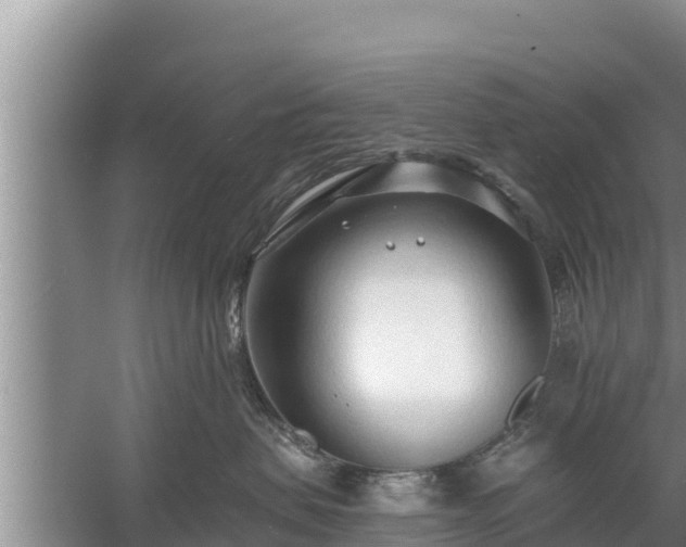 X0000058120479200509301931