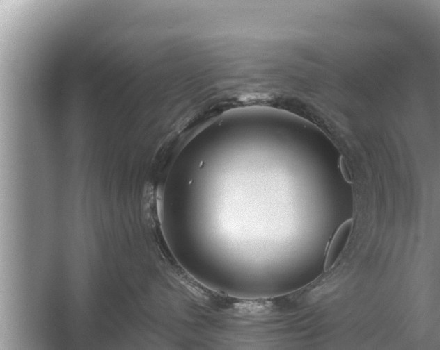 X0000058120480200509301931