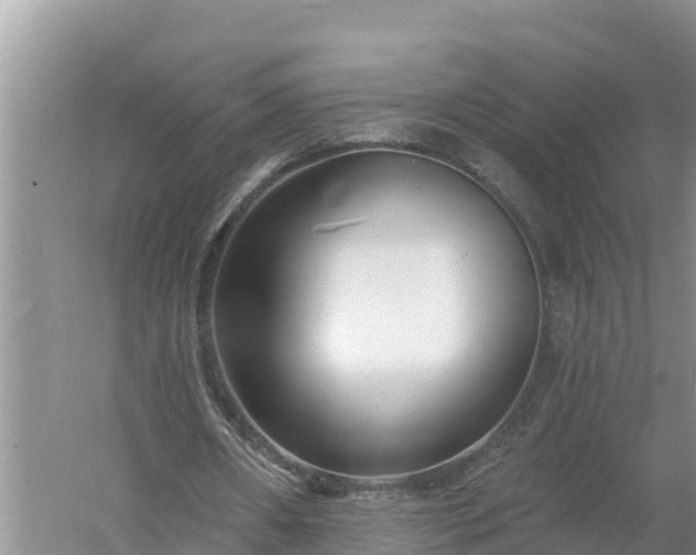 X0000058120482200509301931