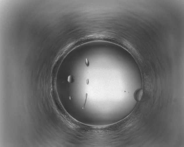 X0000058120486200509301930