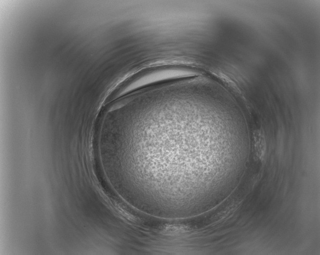 X0000058120487200509301930