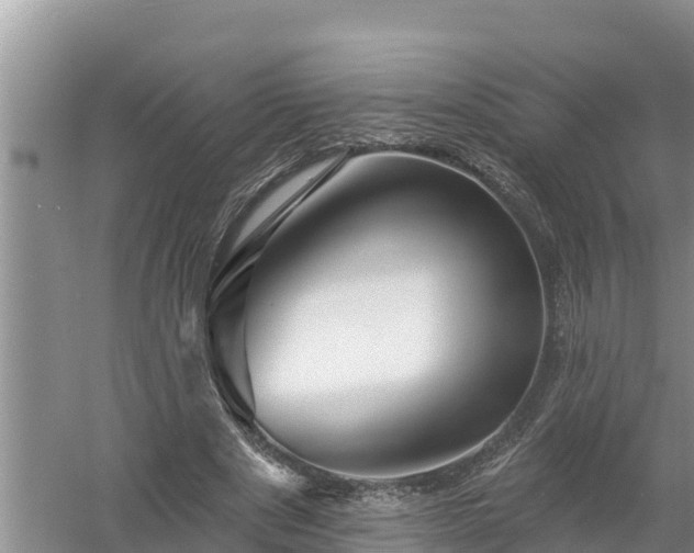 X0000058120489200509301930