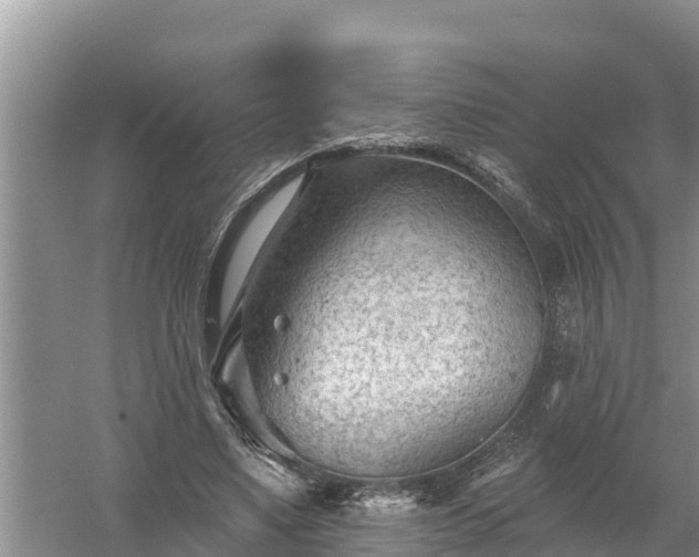 X0000058120491200509301930