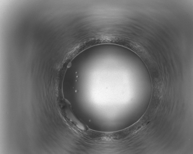 X0000058120496200509301930