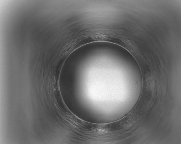 X0000058120498200509301930