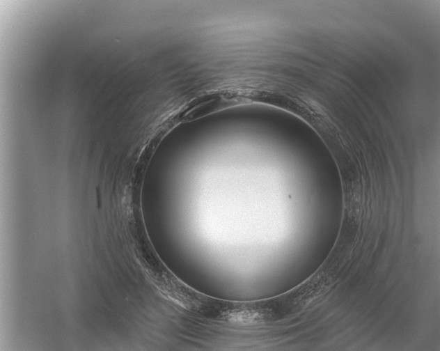 X0000058120500200509301930