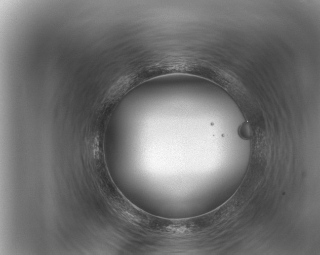 X0000058120502200509301930