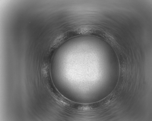 X0000058120503200509301930